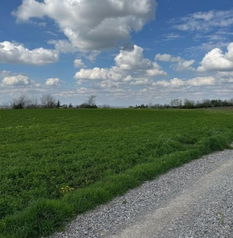Plac Prodaja Novi Sad  1438 m2