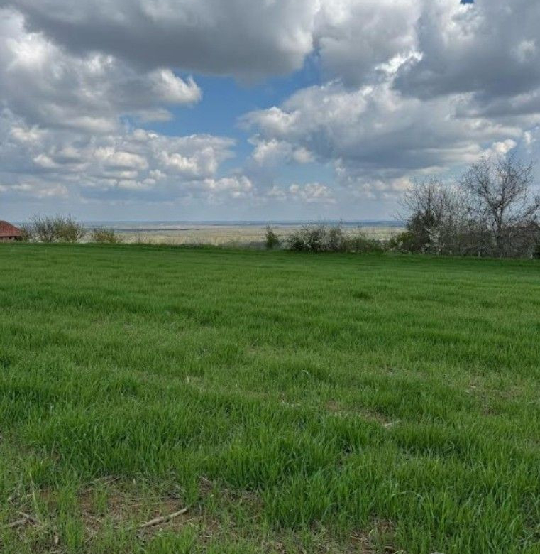 Plac – Novi Sad, Vezirac  – ID 7081196.