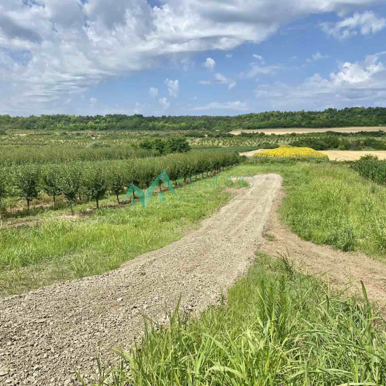 Plac Prodaja Vrdnik  1020 m2
