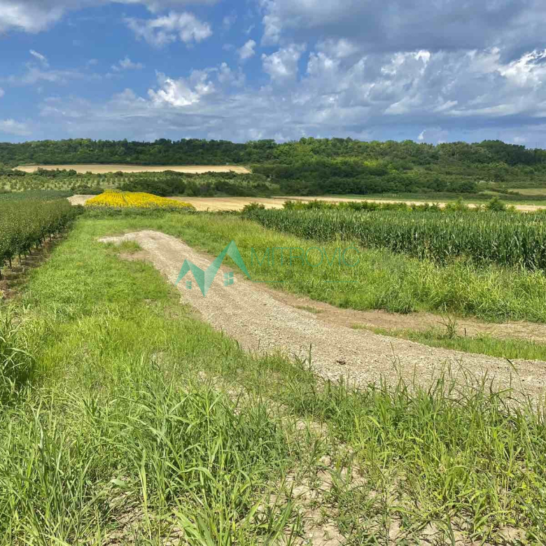 Plac Prodaja Vrdnik  1020 m2