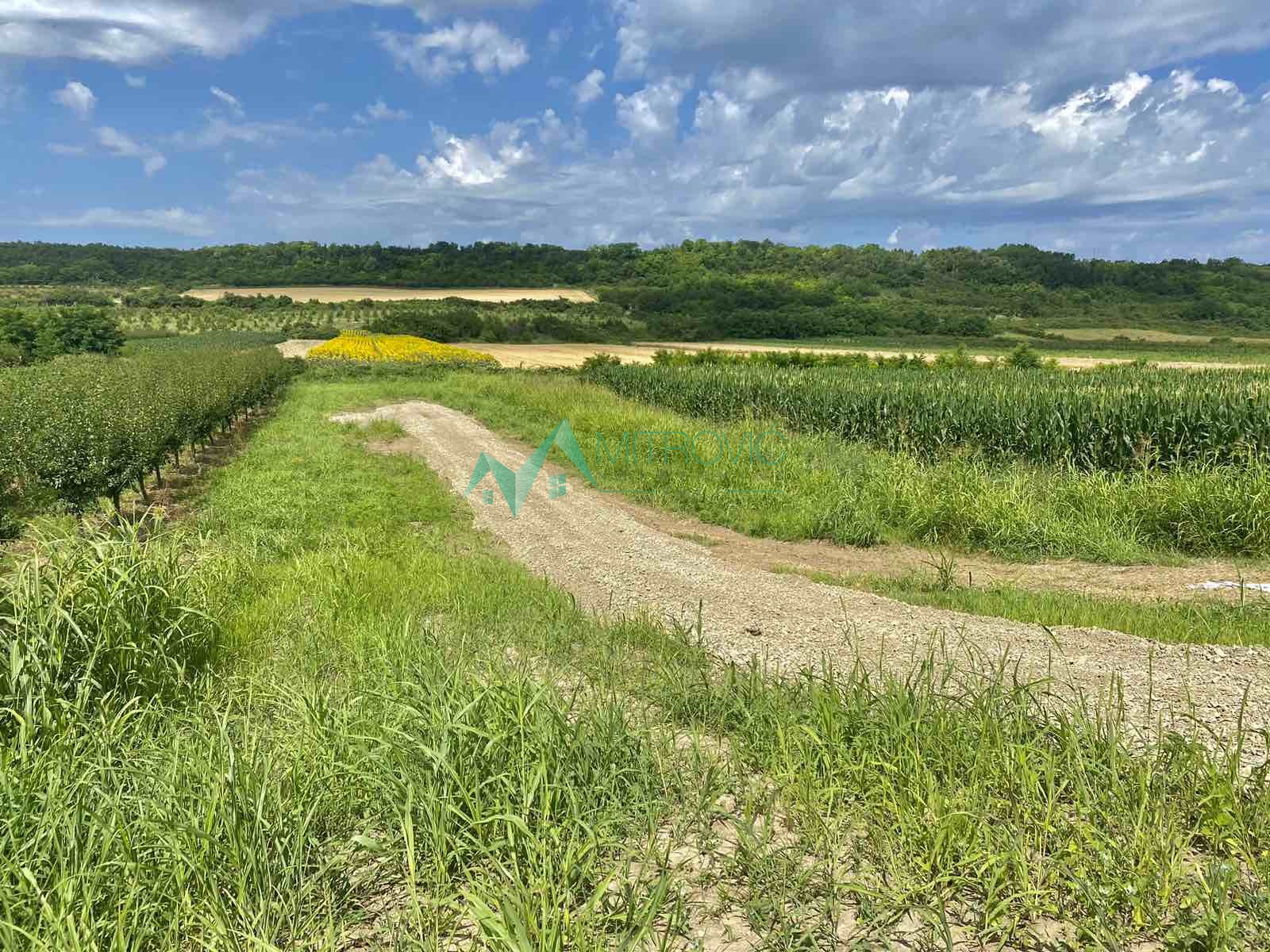 Plac Prodaja Vrdnik Plac Prodaja Vrdnik 1020 m2