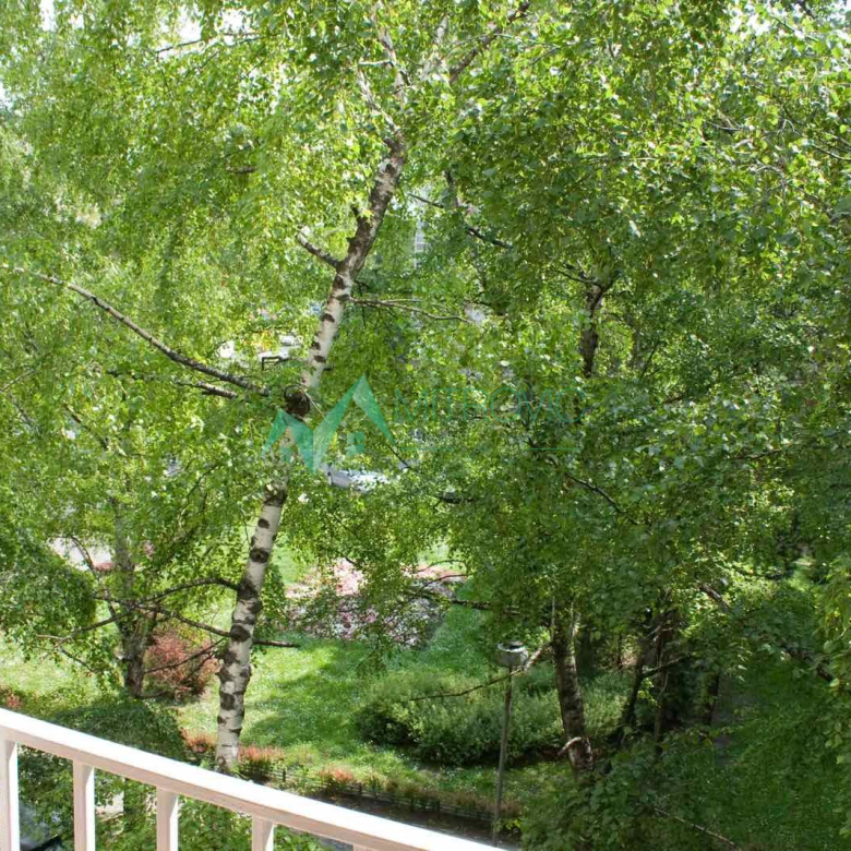 Stan Prodaja Novi Sad  30 m2