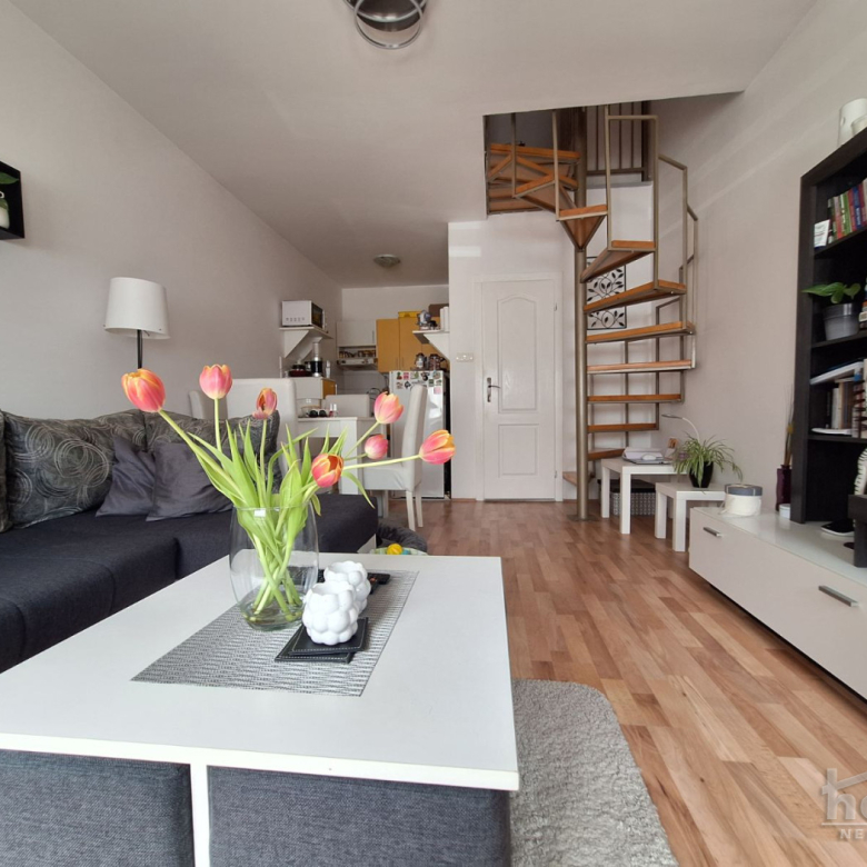 Stan Prodaja Novi Sad  50 m2