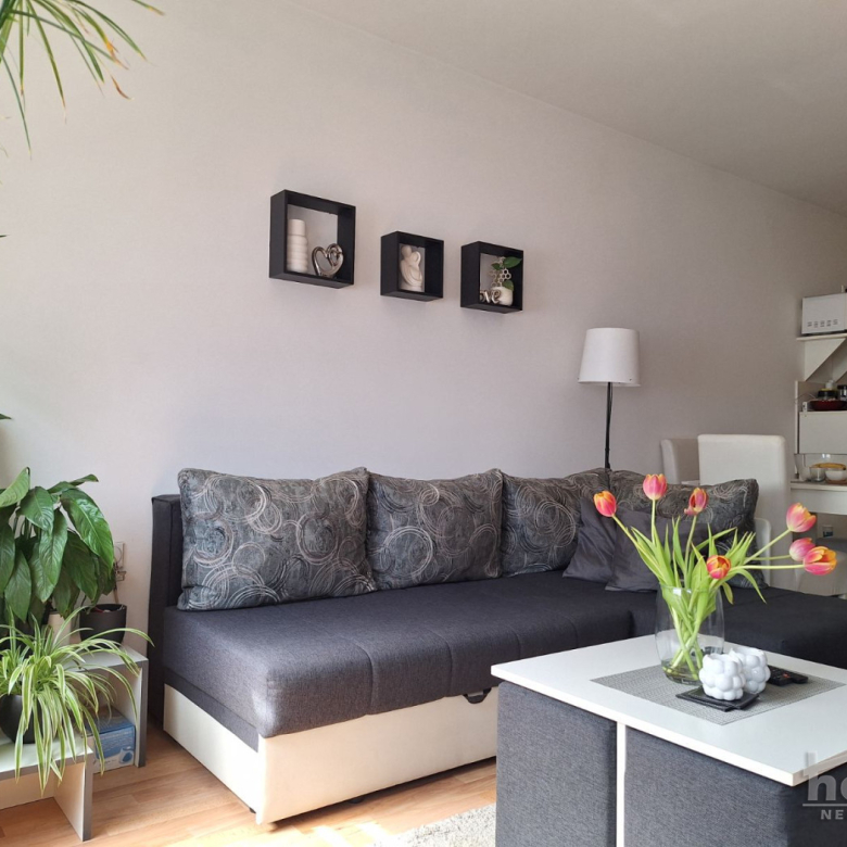 Stan Prodaja Novi Sad  50 m2