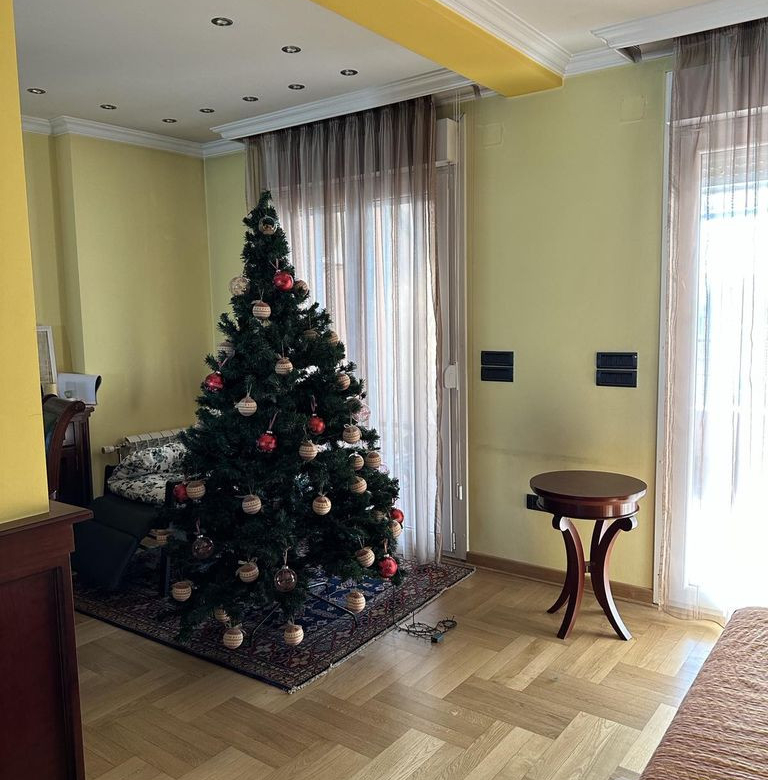 Stan Prodaja Novi Sad  266 m2