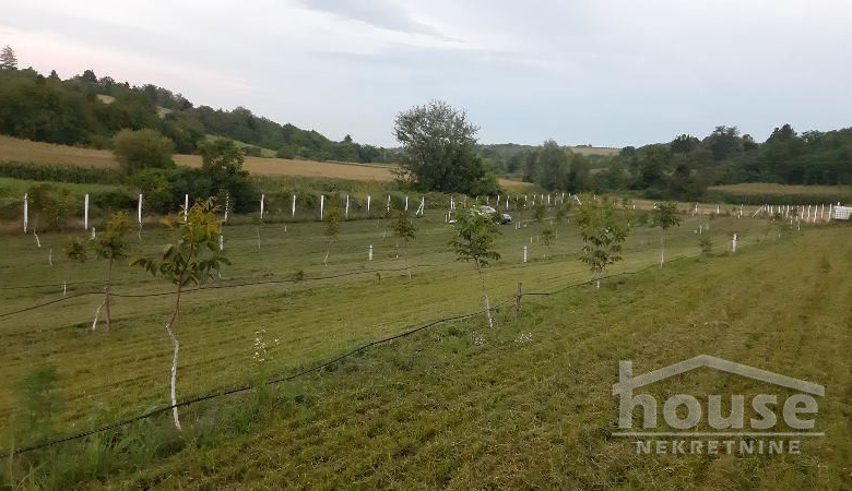 Plac – Novi Sad, Čortanovci – ID 7080858.