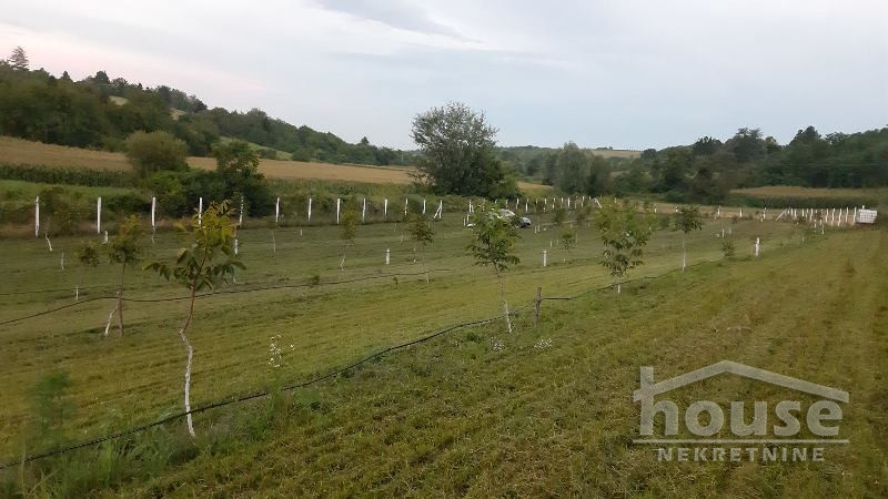 Plac Prodaja Novi Sad  9711 m2