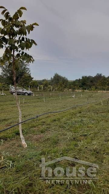 Plac Prodaja Novi Sad  9711 m2
