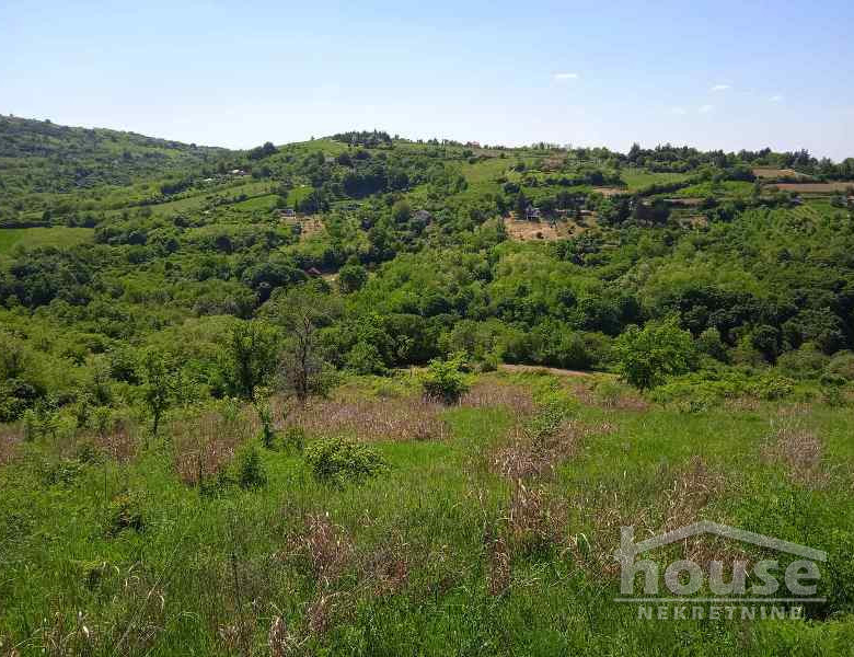 Plac Prodaja Novi Sad  6250 m2