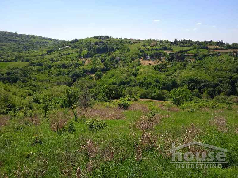 Plac Prodaja Novi Sad Plac Prodaja Novi Sad 6250 m2