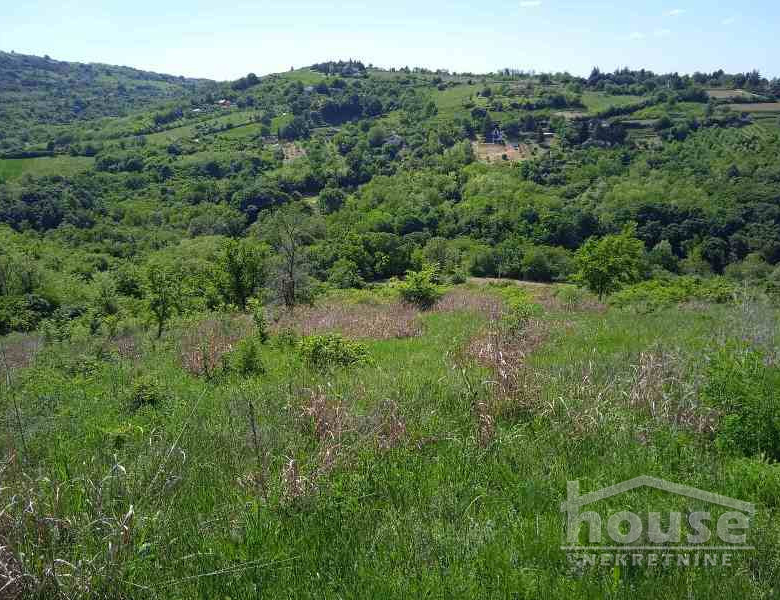 Plac Prodaja Novi Sad  6250 m2