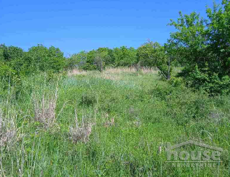 Plac Prodaja Novi Sad  6250 m2