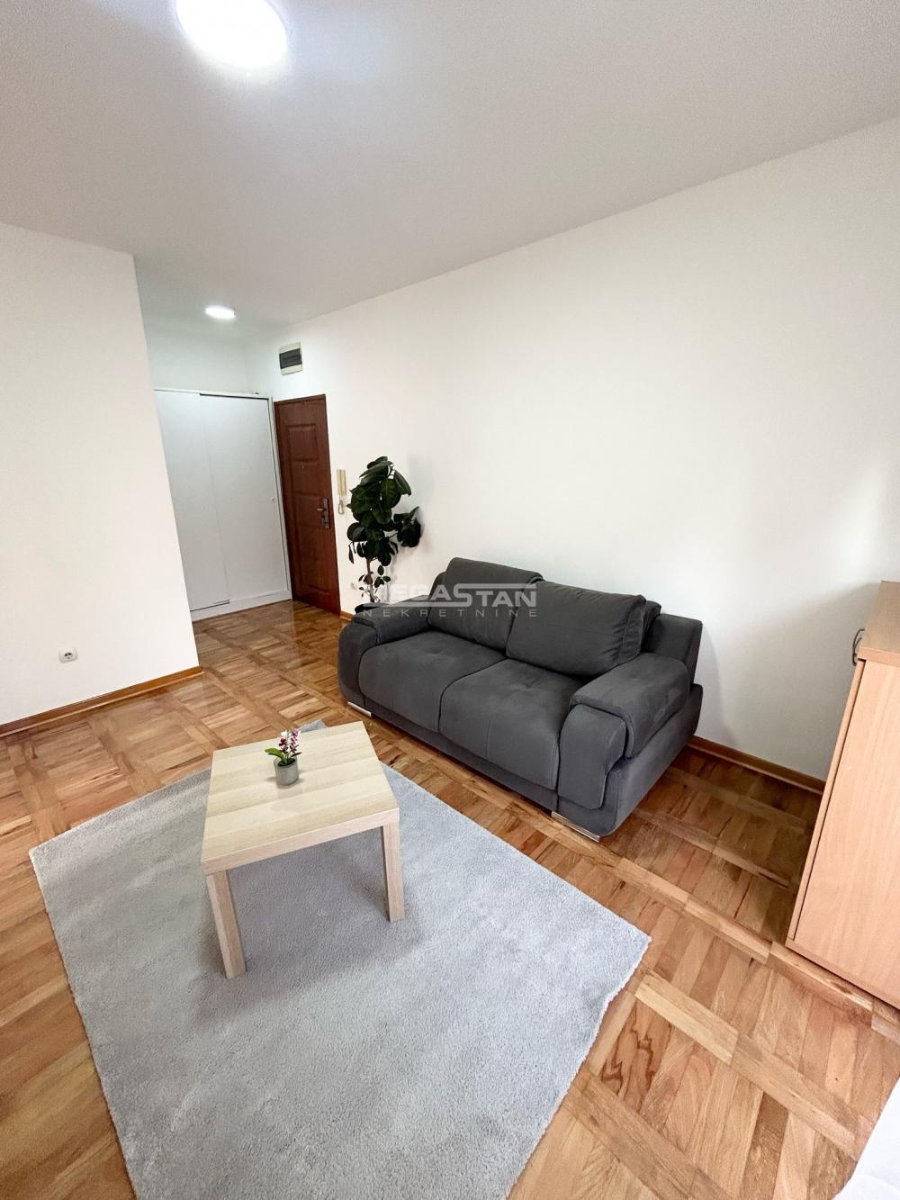 Stan Izdavanje Beograd Stan Izdavanje Beograd Ledine 34 m2