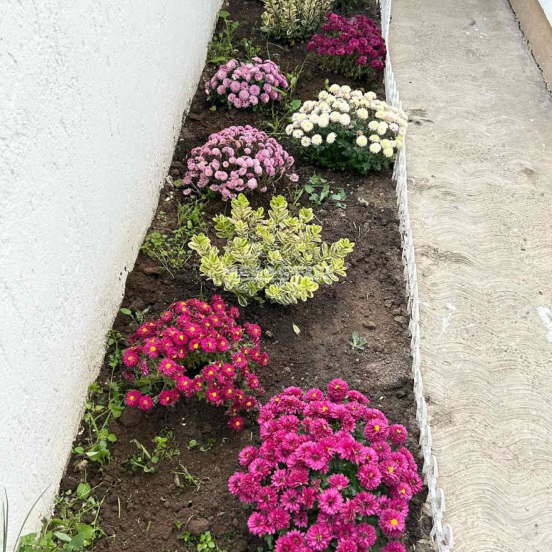 Stan Izdavanje Beograd Ledine 34 m2