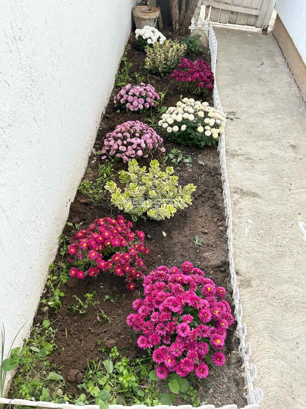 Stan Izdavanje Beograd Stan Izdavanje Beograd Ledine 34 m2