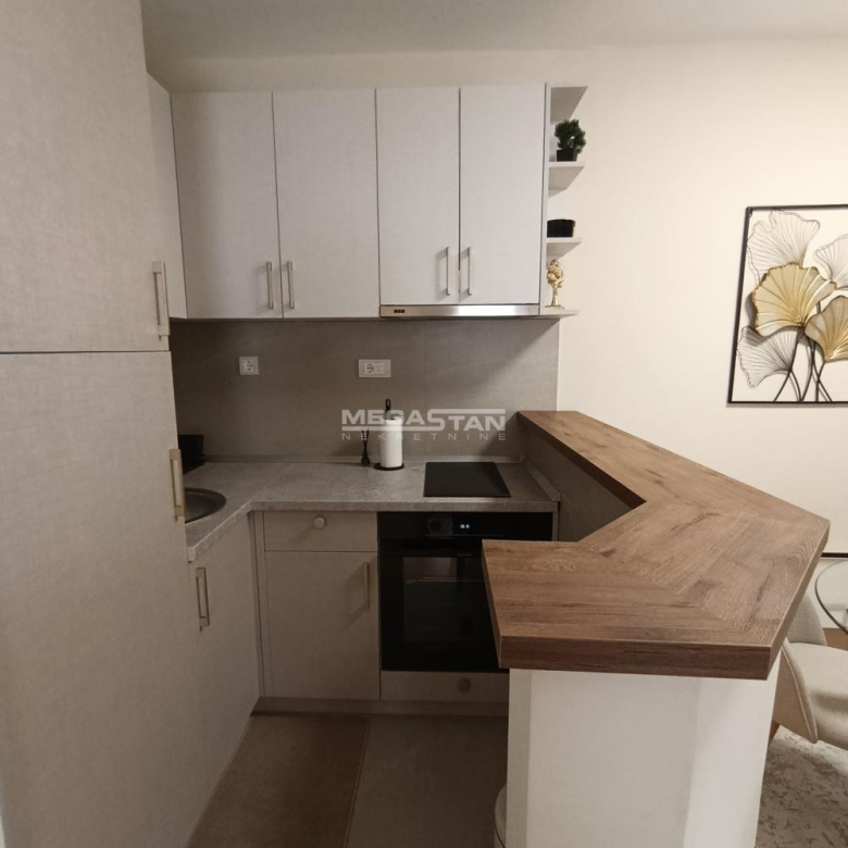 Stan Izdavanje Beograd Hram Svetog Save 54 m2