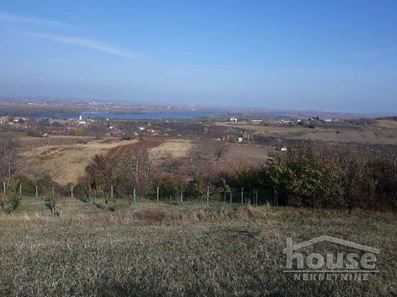 11-11 Plac na prodaju, Čerević, Beočin, 5800m², 226.600 €
