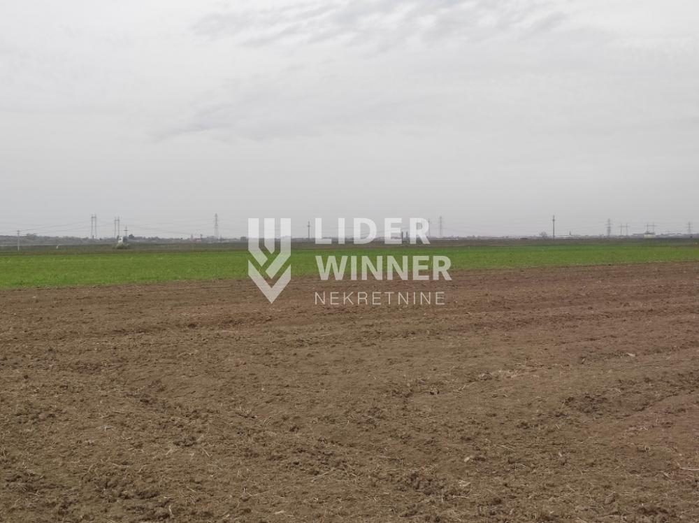 Plac na prodaju, Jakovo, Beograd, 329,3 ari, 2.618.000 €