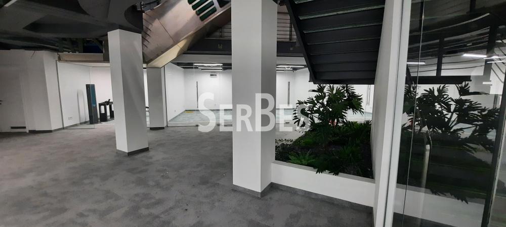 Lokal za izdavanje, Bulevar Oslobođenja, Novi Sad, 305m², 2.450 €/mes
