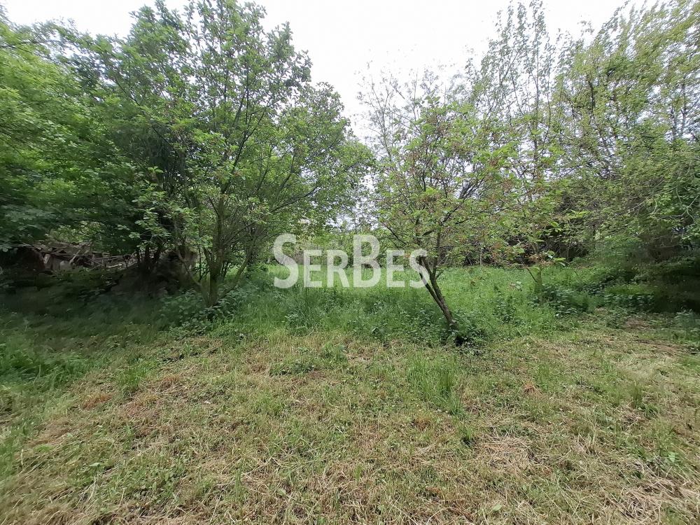 Plac na prodaju, Čerević, Beočin, 10,48 ari, 47.000 €
