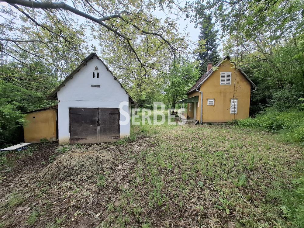Plac na prodaju, Čerević, Beočin, 10,48 ari, 47.000 €