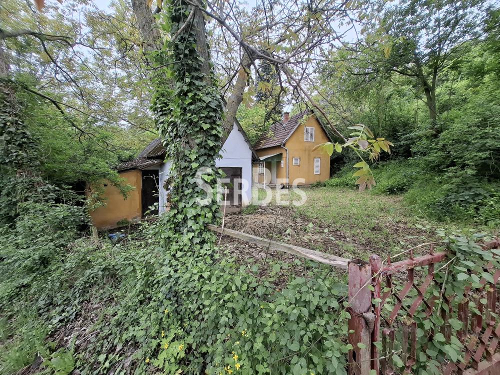 Plac na prodaju, Čerević, Beočin, 10,48 ari, 47.000 €