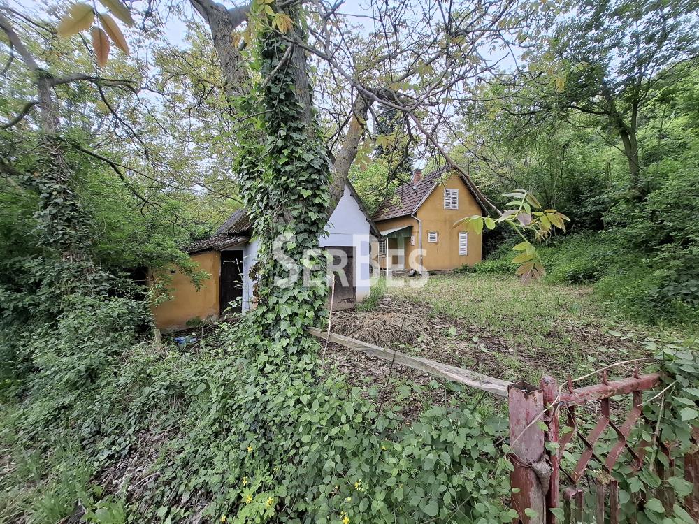 Plac na prodaju, Čerević, Beočin, 10,48 ari, 47.000 €
