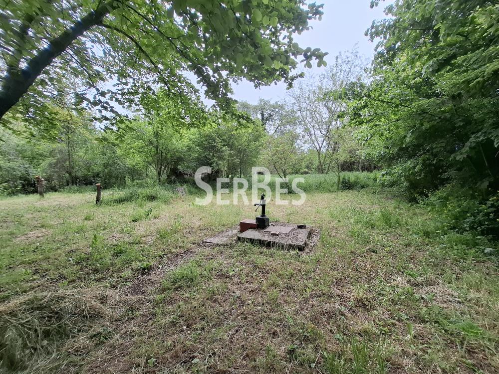 Plac na prodaju, Čerević, Beočin, 10,48 ari, 47.000 €