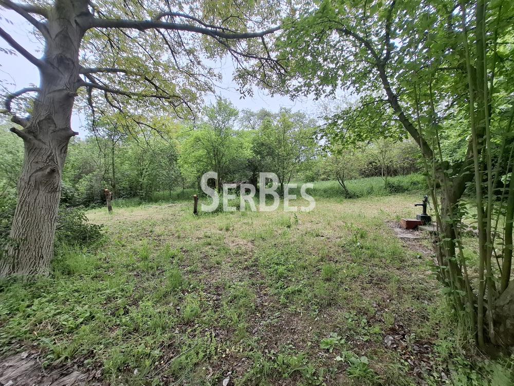 Plac na prodaju, Čerević, Beočin, 10,48 ari, 47.000 €