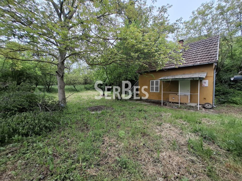 Plac na prodaju, Čerević, Beočin, 10,48 ari, 47.000 €