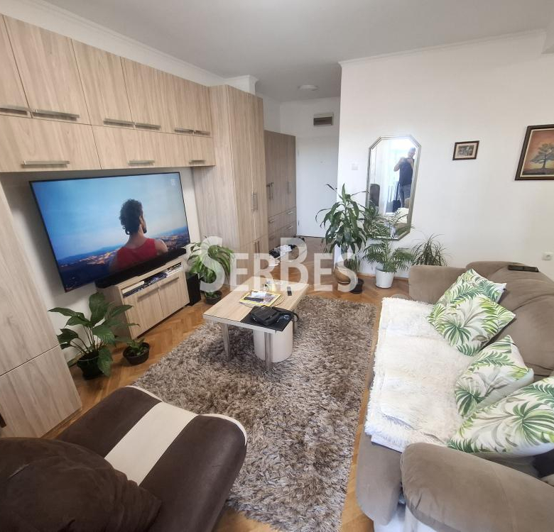 Stan Izdavanje Novi Sad  44 m2