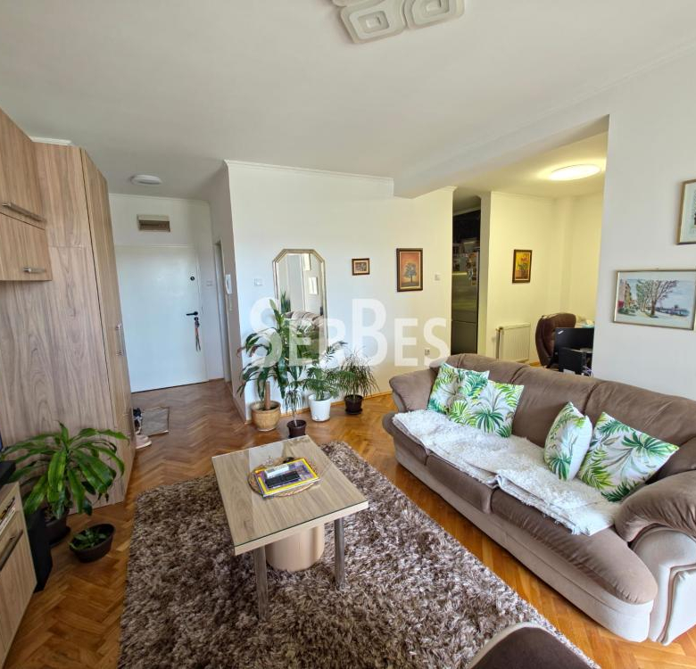 Stan Izdavanje Novi Sad  44 m2