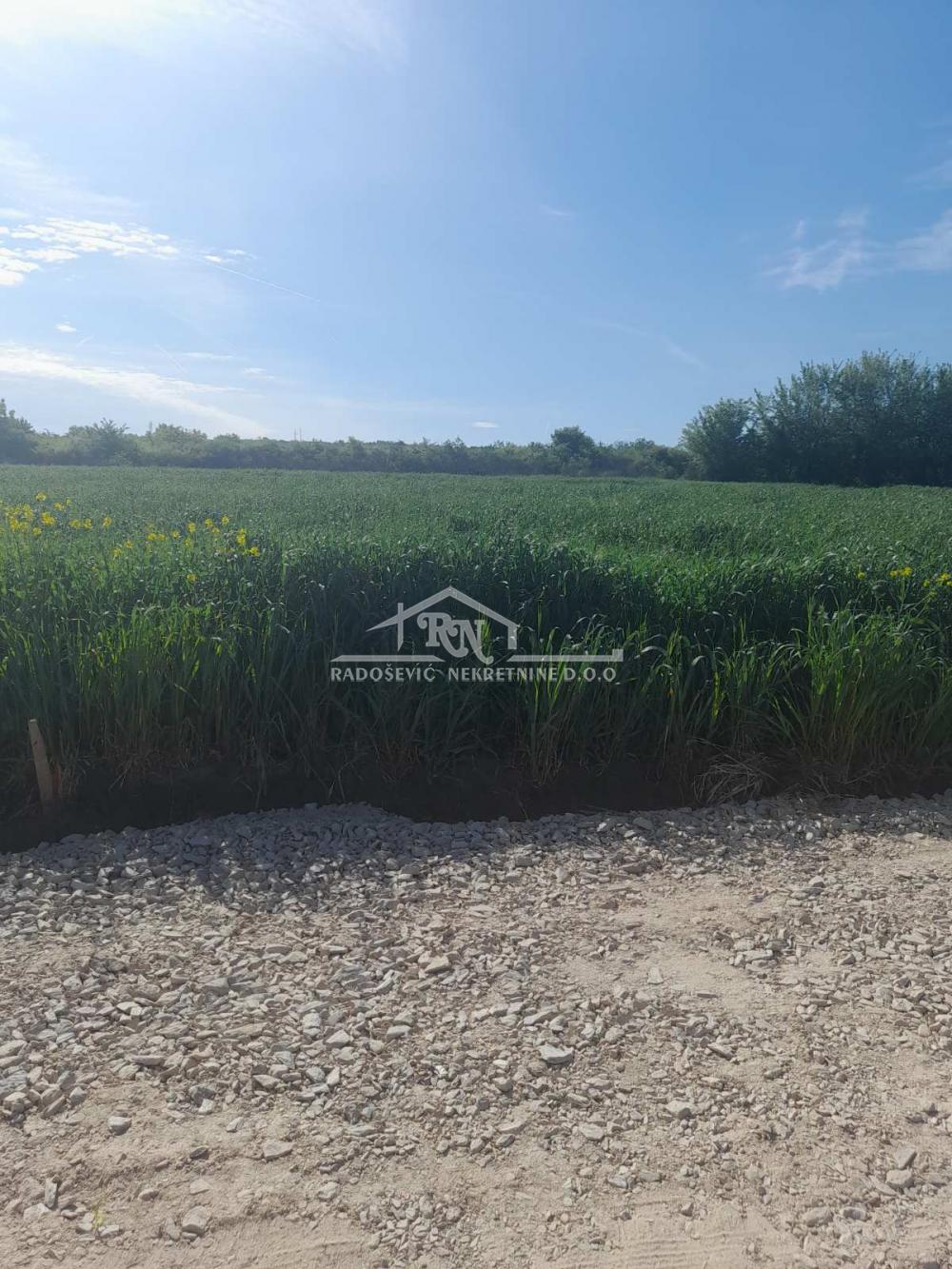 Plac na prodaju, Rupčine, Beograd, 606.000 €