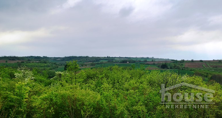 Plac Prodaja Novi Sad  1708 m2