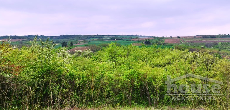 Plac Prodaja Novi Sad  1708 m2