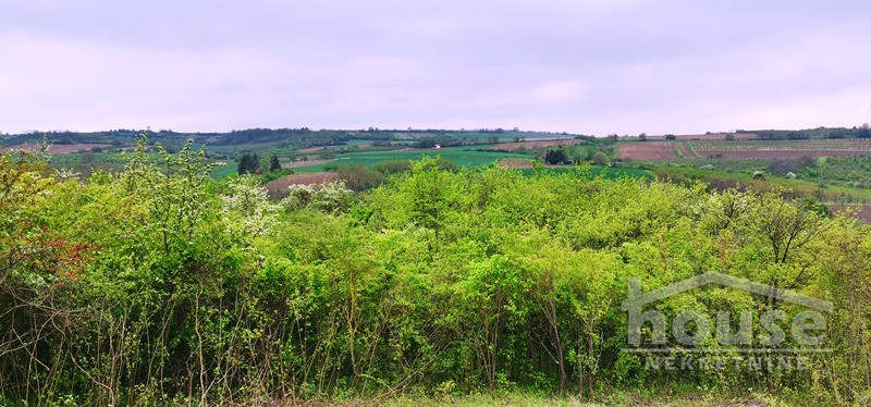 Plac Prodaja Novi Sad Plac Prodaja Novi Sad 1708 m2