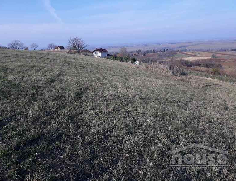 Plac Prodaja Novi Sad  5800 m2