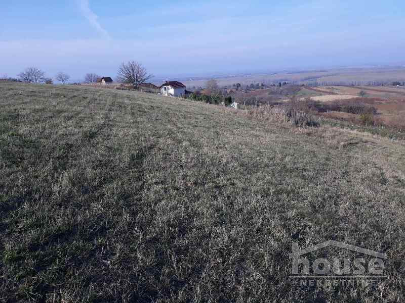Plac Prodaja Novi Sad  5800 m2