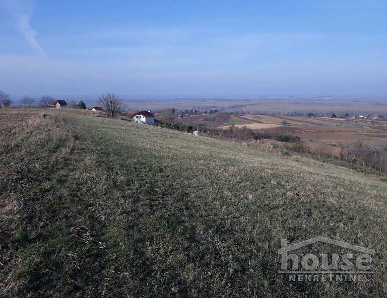 Plac Prodaja Novi Sad  5800 m2