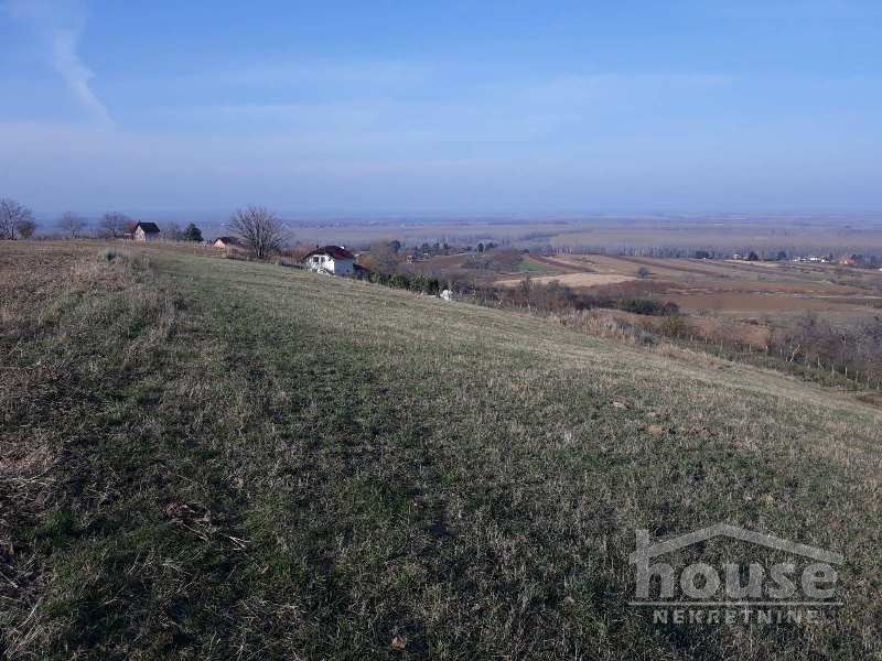 Plac Prodaja Novi Sad  5800 m2