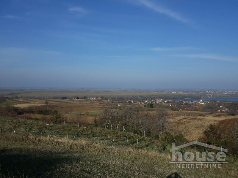 Plac Prodaja Novi Sad  5800 m2