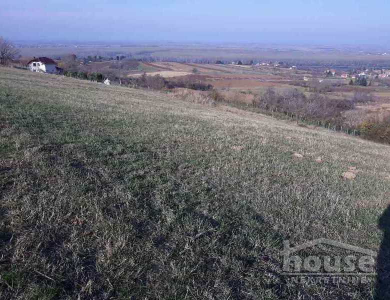 Plac Prodaja Novi Sad  5800 m2