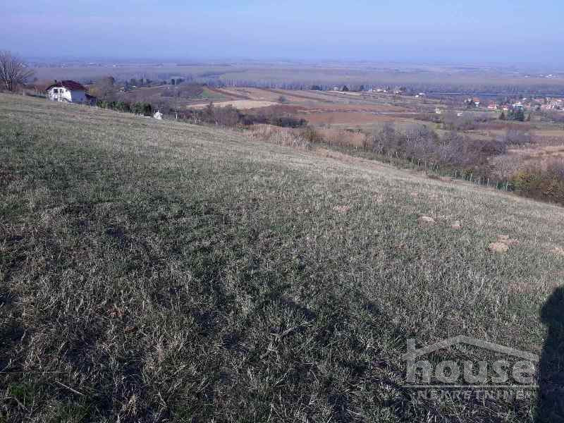 Plac Prodaja Novi Sad  5800 m2