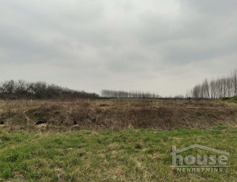 Plac Prodaja Novi Sad  50564 m2