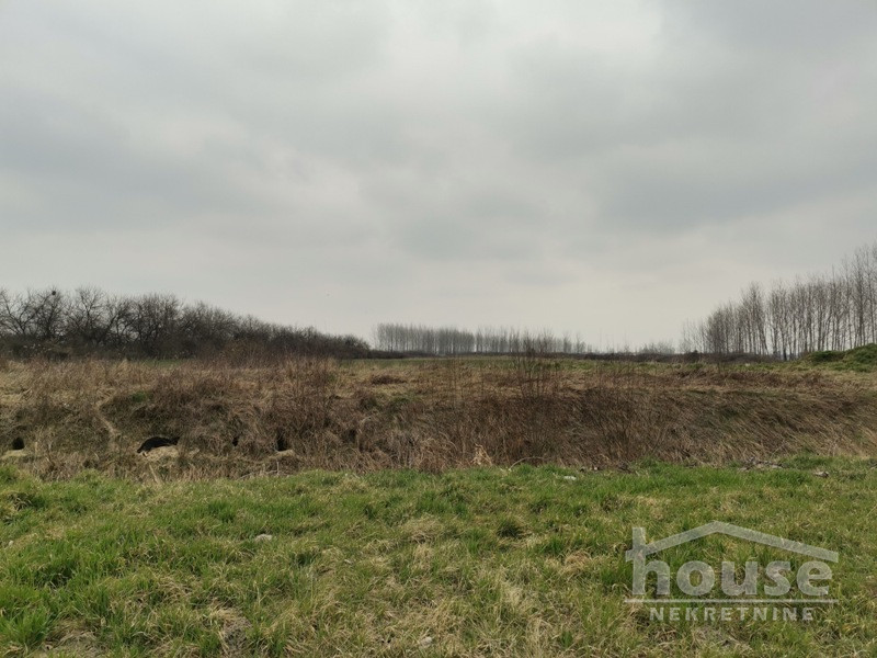 Plac Prodaja Novi Sad  50564 m2