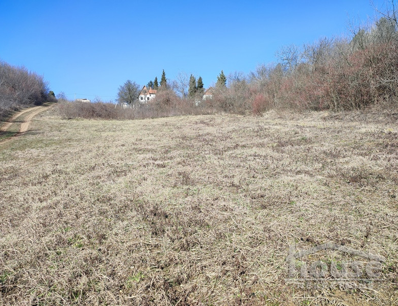 Plac Prodaja Novi Sad  2200 m2