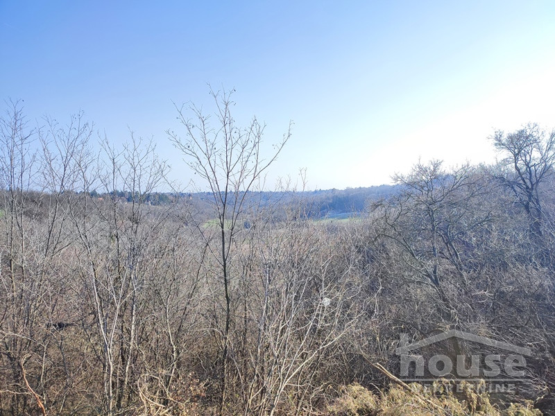 Plac Prodaja Novi Sad  16800 m2