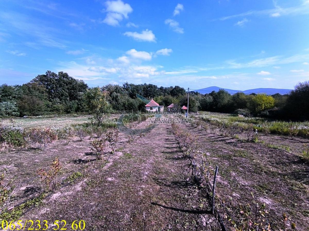 actionimagesite31agencygalerijanekimg7fczxbvt5a-12 Plac na prodaju, Drlupa, Beograd, 205 ari, 149.000 €
