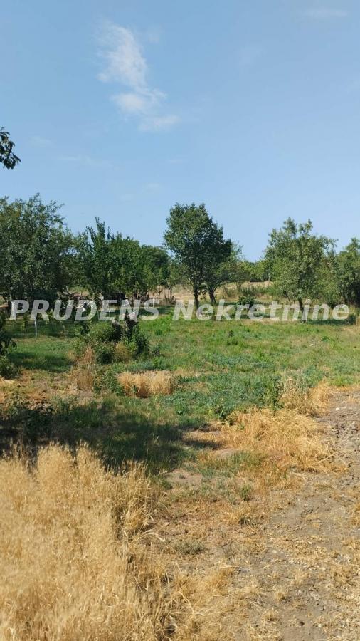 actionimagesite31agencyprudensnekimg8at6snnw75-11 Kuća na prodaju, Dobanovci, Beograd, 300m², 350.000 €