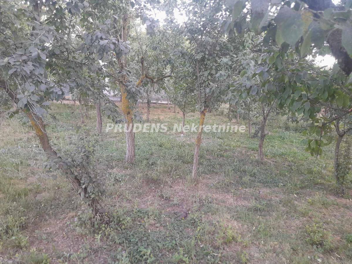 actionimagesite31agencyprudensnekimgvwvc8e7qww-12 Kuća na prodaju, Obrež, Pećinci, 150m², 65.000 €